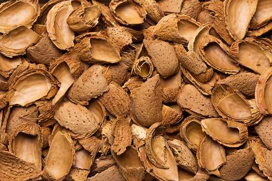 Almond shell